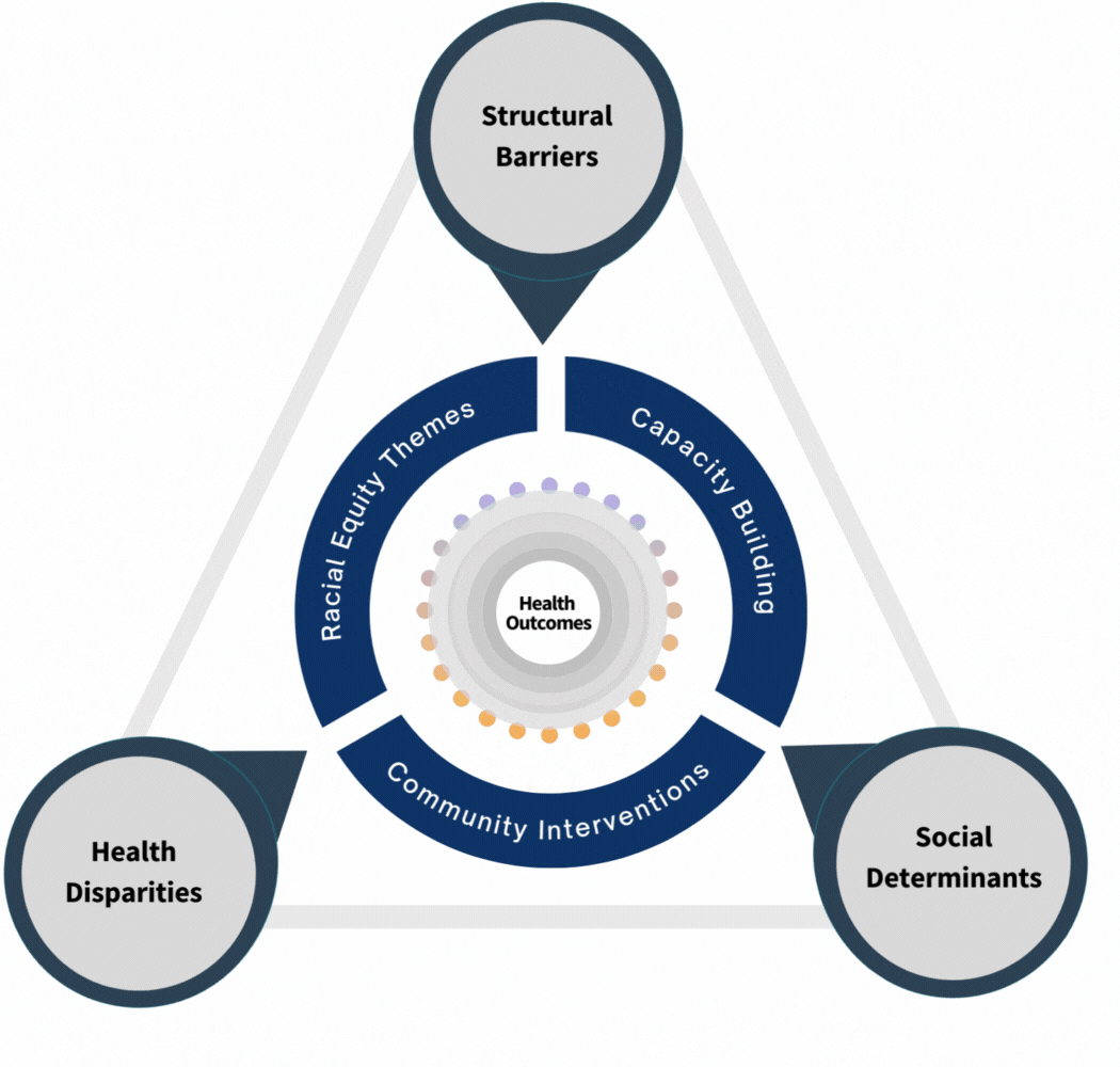 Health Equity Framework